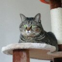 BIN (@1970_maki) Twitter