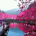 Noha 2014 (@23113189aazz) Twitter