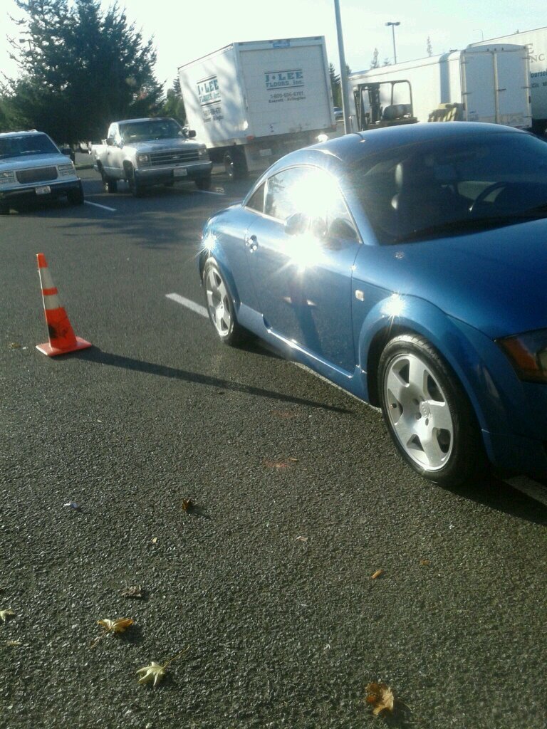 chokola55's profile picture. 