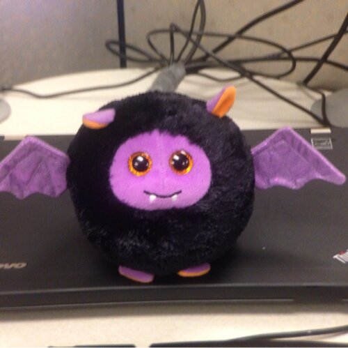 etee's profile picture. Wordy, nerdy, sneaky, geeky. Far too complex to fit into 140 characters.