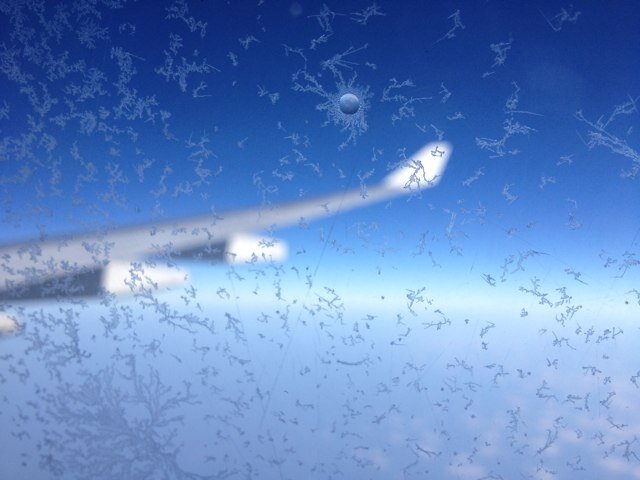 yyaozi's profile picture. 