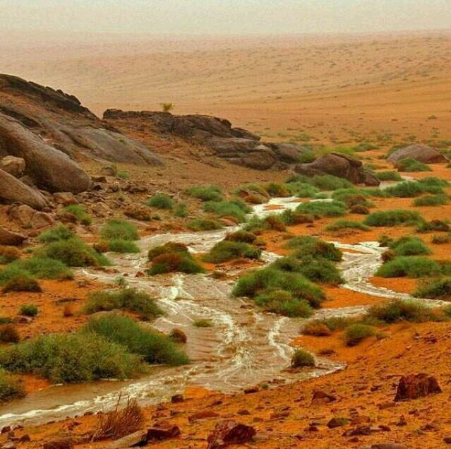 مرحبا انا مستخدم فرد لدي اهتمامات كثيره حول اسواق المال و الاسهم المحليه والعالميه مالك مؤسسه نزل الشرقيه للعقارات والمقاولات