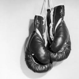 TheatreBTB's profile picture. Below the Belt: Gender, Society, Sex is an original collection of monologues. Bridging the gap between genitals and brain since 2009.