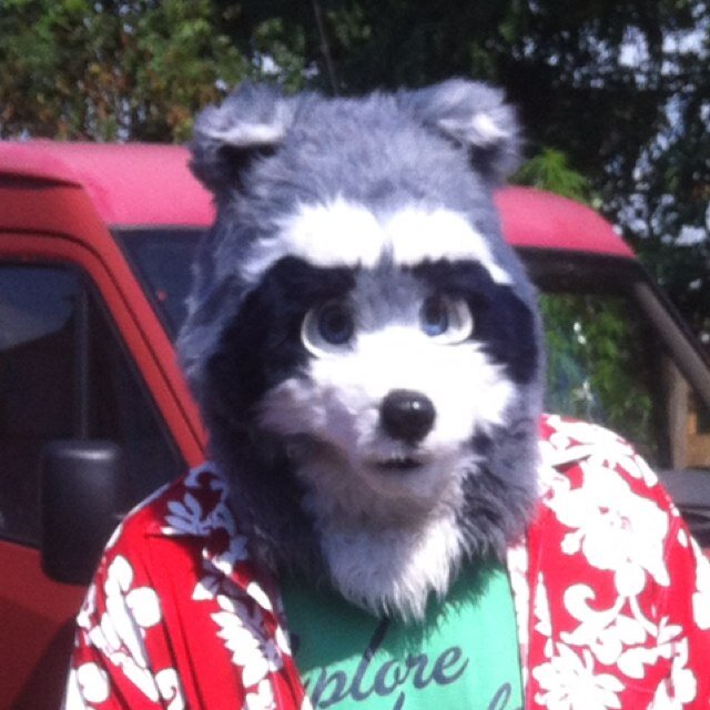 .....coon