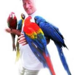 4MACAWS's profile picture. 