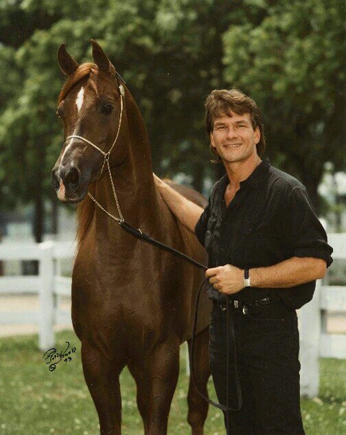 I love to write poems,I'm into photography,ride horses,race dirt bikes,and collect anything that has to do with Patrick Swayze !  Married