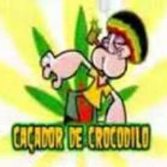 Como Outras Pessoas Consegui Viver Sem Twitter