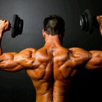 No Bull Fitness (@nobull_fitness) Twitter profile photo