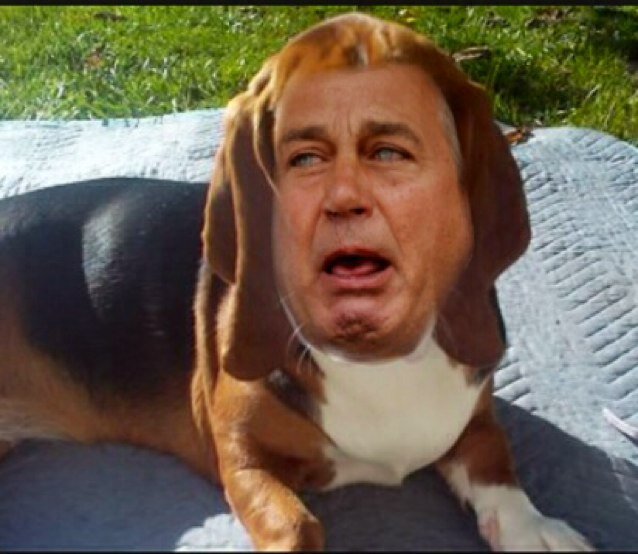 johnboehnersdog's profile picture. 