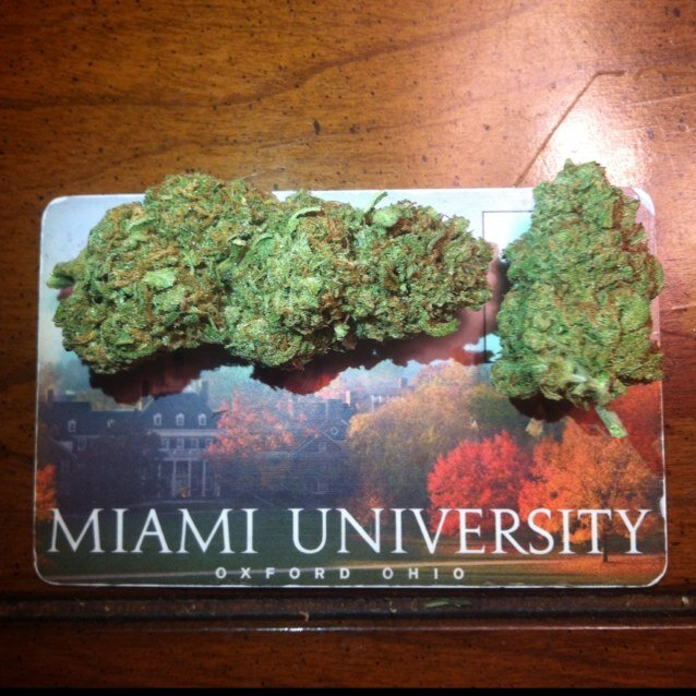 Oxford stoners / no affiliation with the university.
Instagram: MiamiOfOhighO 
#StonerNation #HighMinds #WorldOfWeed