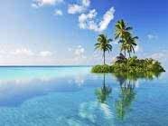 akira_rachma's profile picture. 