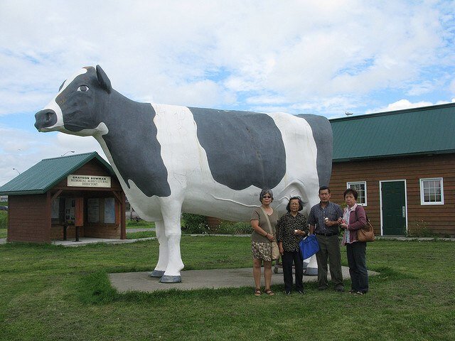 NLiskeardprobs's profile picture. 