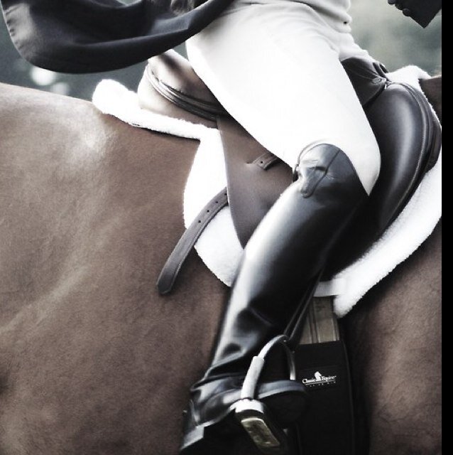 Tired of that stuck up stuff you hear in the equestrian world? Well I'm here to be sassy and call it out! Sorry if you get offended!