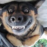 Димон Чибиряк (@deamondnk) 's Twitter Profile Photo