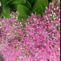 BreastCancerClub (@breastcancerclu) 's Twitter Profile Photo BreastCancerClub (@breastcancerclu) 's Twitter Profile Photo