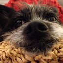 Jake Rhodes - @JakeHRhodes - Twitter