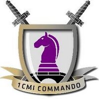 1 CMI Commando (@1cmicommando) 's Twitter Profile