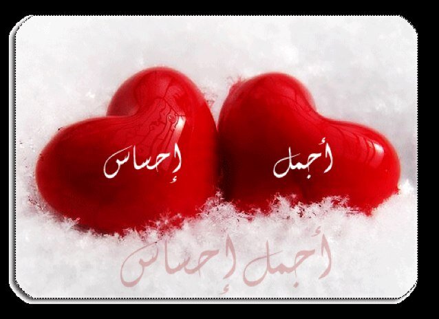 الحب لمن تحب