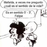Isabel M Argudo (@isotopo1) 's Twitter Profile Photo Isabel M Argudo (@isotopo1) 's Twitter Profile Photo