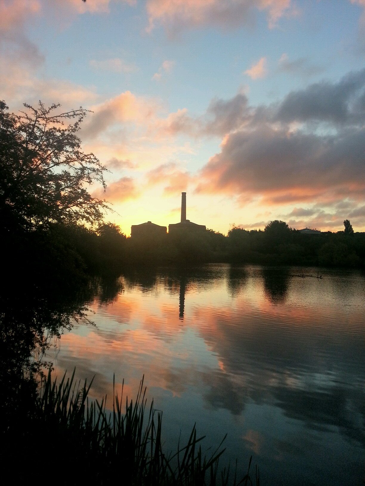 bearslake2012's profile picture. carp lake syndicate water and day ticket in staffordshire big carp bream tench pike perch eel open all year for ticket info or membership call 07716513562