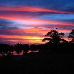 _4603835938201's profile picture. 