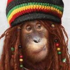 I'm a Funky Monkey that loves to party, loves music, especially Reggae, Dub and Roots. Come Jam with me! ( #followback )