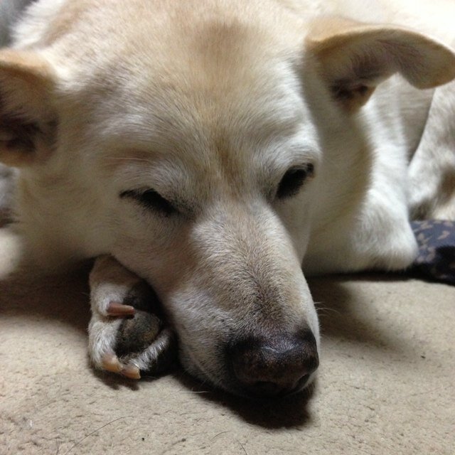 LowVoltage1966's profile picture. Back in businrss someday.