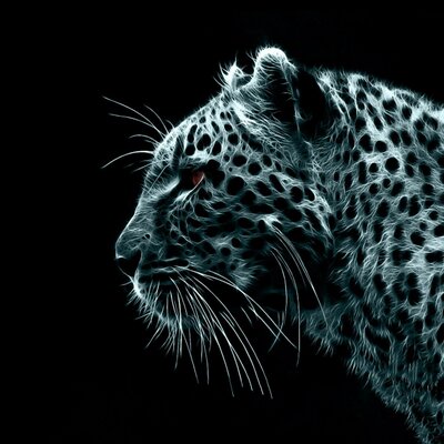 Profile Picture of KEVIN L. SAGER (@KevinLSager) on Twitter