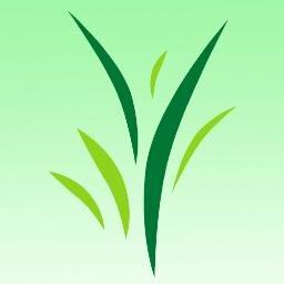 Empresa dedicada a la importación, distribución, instalación y mantenimiento de grama artificial deportiva y decorativa.Grupo AEP GLOBAL CO