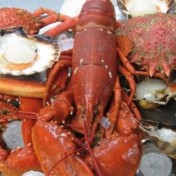 portlandscallop's profile picture. 