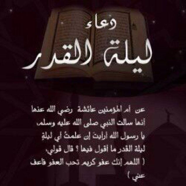 ذبحات-اغنام-اعاشات تموين قصور امراء وشركات ذبح وتوصيل الذيائح