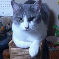 kou.samejima (@samejima2012) 's Twitter Profile