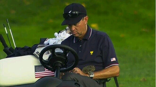 Official Mascot of Team USA Squirrel Power's #TEAMUSA