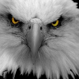 marques_estevao's profile picture. 😉😎