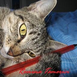 Scrittrice, animatrice, studentessa universitaria, futura maestra...