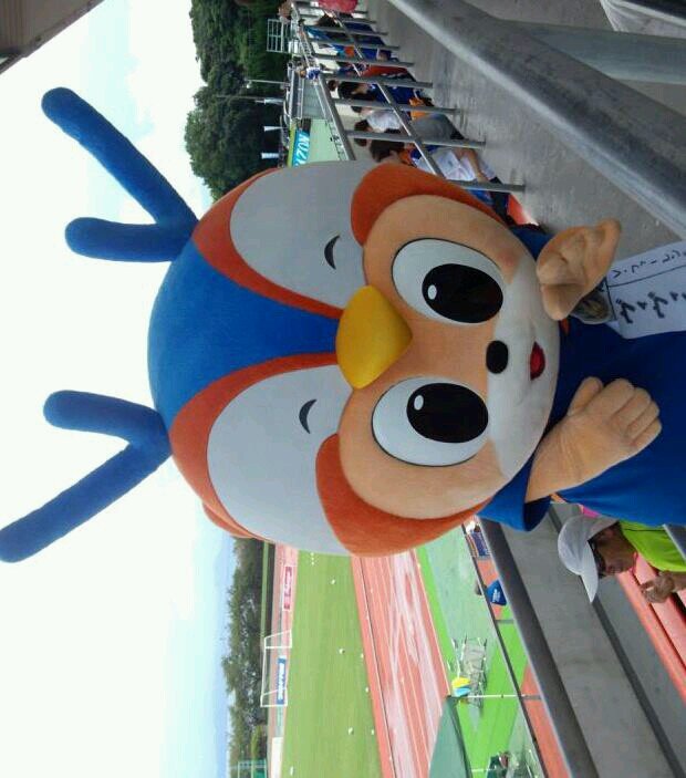 kazup_kajip's profile picture. V-ファーレン長崎を応援し続ける親父です。