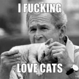 15/4/2013 i miss my cat