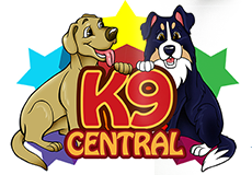 Canada’s most dynamic facility dedicated to dogs and the people that love them.
We’ve got it all! Boarding, daycare, grooming and training.