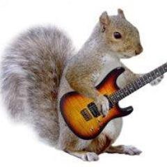 Part-time writer, full-time web manager