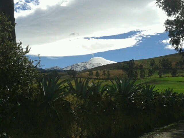 Ganadería y Lechería en la Altura....