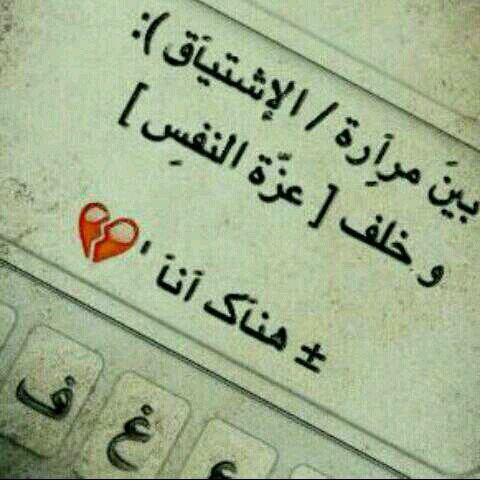 سبحان الله وبحمده سبحان ألله العظيم@المدينه المنوره@
