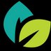 Mint Hair Studio (@hint_o_mint) Twitter profile photo