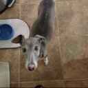 Shell - @ShellyBlue7 - Twitter