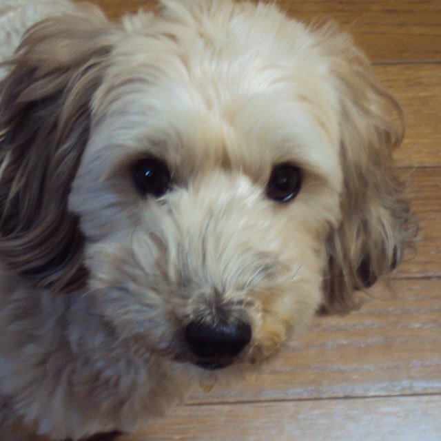 doseisannnn's profile picture. 