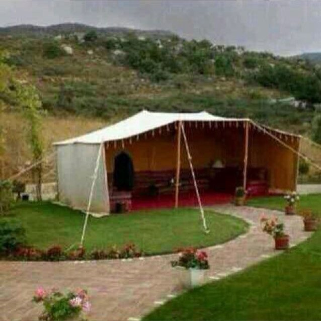 rosbook2015's profile picture. 