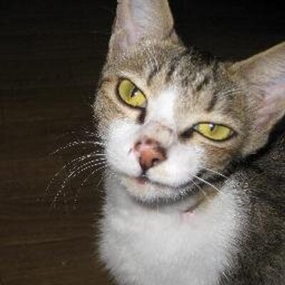 関西のパリピちゃん 東大和市一夫多妻男事件とは 渋谷博仁 Http T Co Ynoiwm0ek9一夫多妻 男 もてる呪文について 夢の中で 言うと殺す と言われたため 怖くて教えられない としていたが 警察が生命をしっかり保護するとの説得に 教わった恋の 関西のパリピちゃん 東大和市一夫多妻男事件とは 渋谷博仁 Http T Co Ynoiwm0ek9一夫多妻 男 もてる呪文について 夢の中で 言うと殺す と言われたため 怖くて教えられない としていたが 警察が生命をしっかり保護するとの説得に 教わった恋の