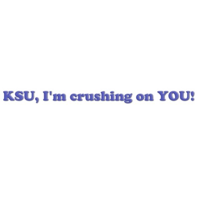 http://t.co/Pm0T6hoFUu The old KSU Crushes page is shutting down so we are taking over! Submit your crushes to our ask.fm page!
