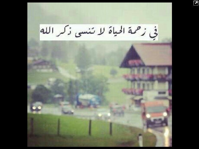 شمريه♥̸̨ ؤآفتخـر.
