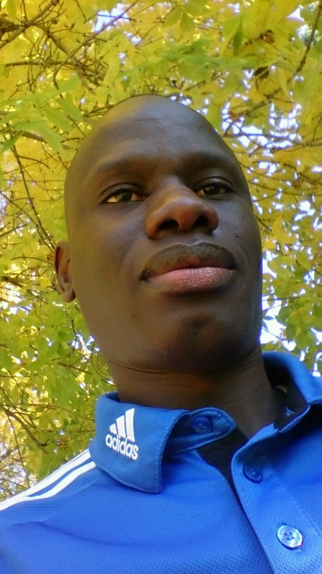 Professionnel en génie chimique Impact Montreal fan's