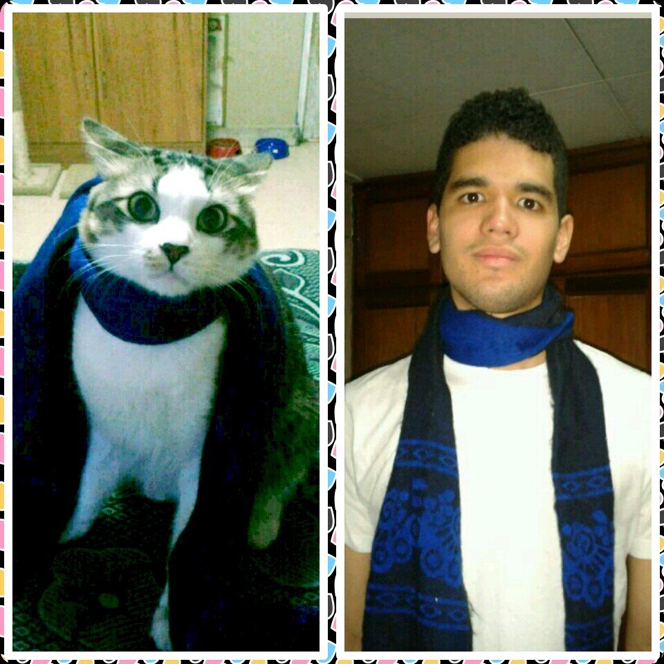 jose2734's profile picture. Amante de la medicina veterinaria y la música